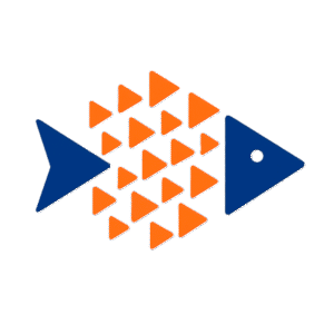 logo.png 800x800 vivido sem fundo